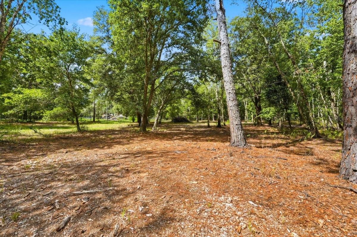 WOODS RANCHING TRACTS - Residential
