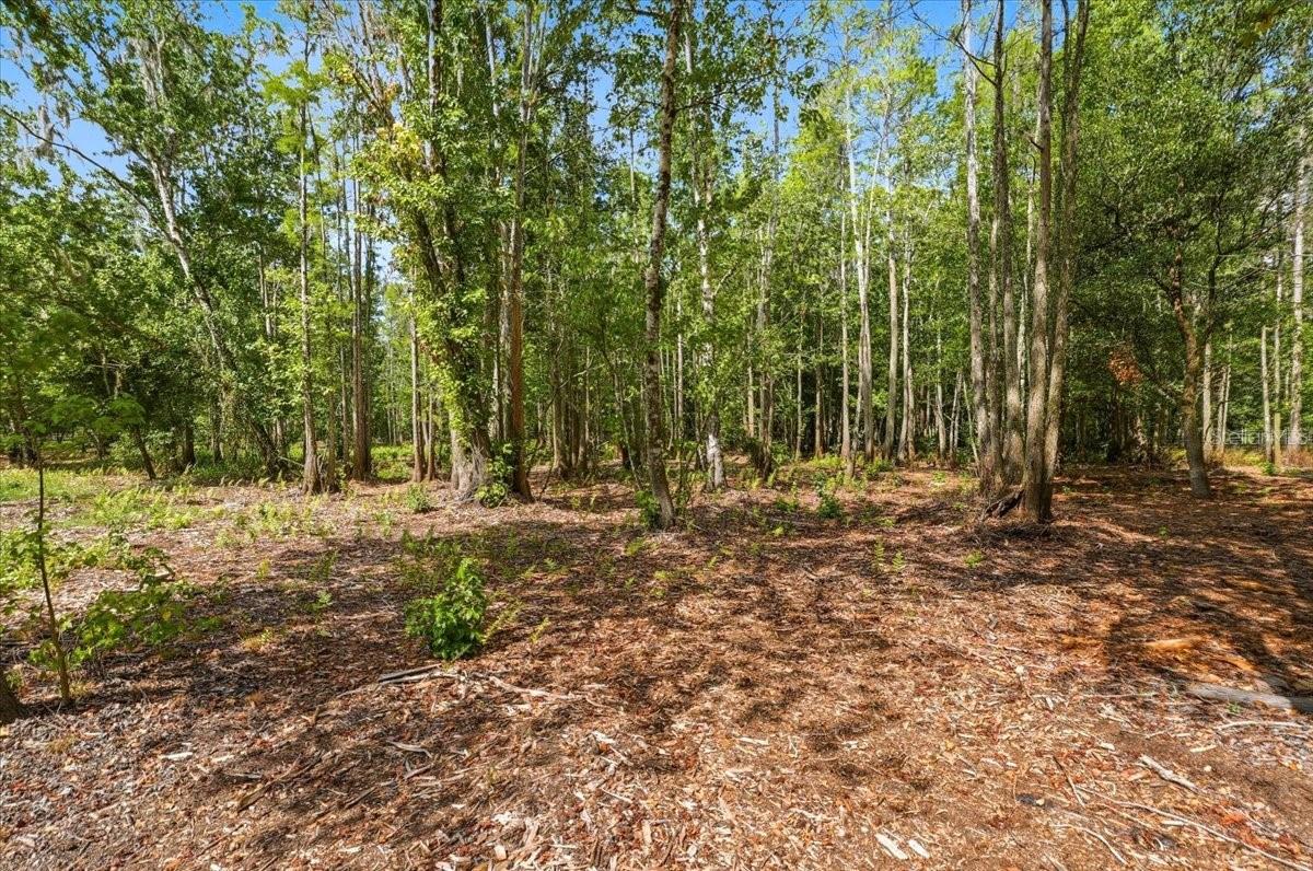 WOODS RANCHING TRACTS - Residential