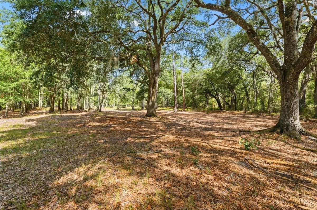 WOODS RANCHING TRACTS - Residential