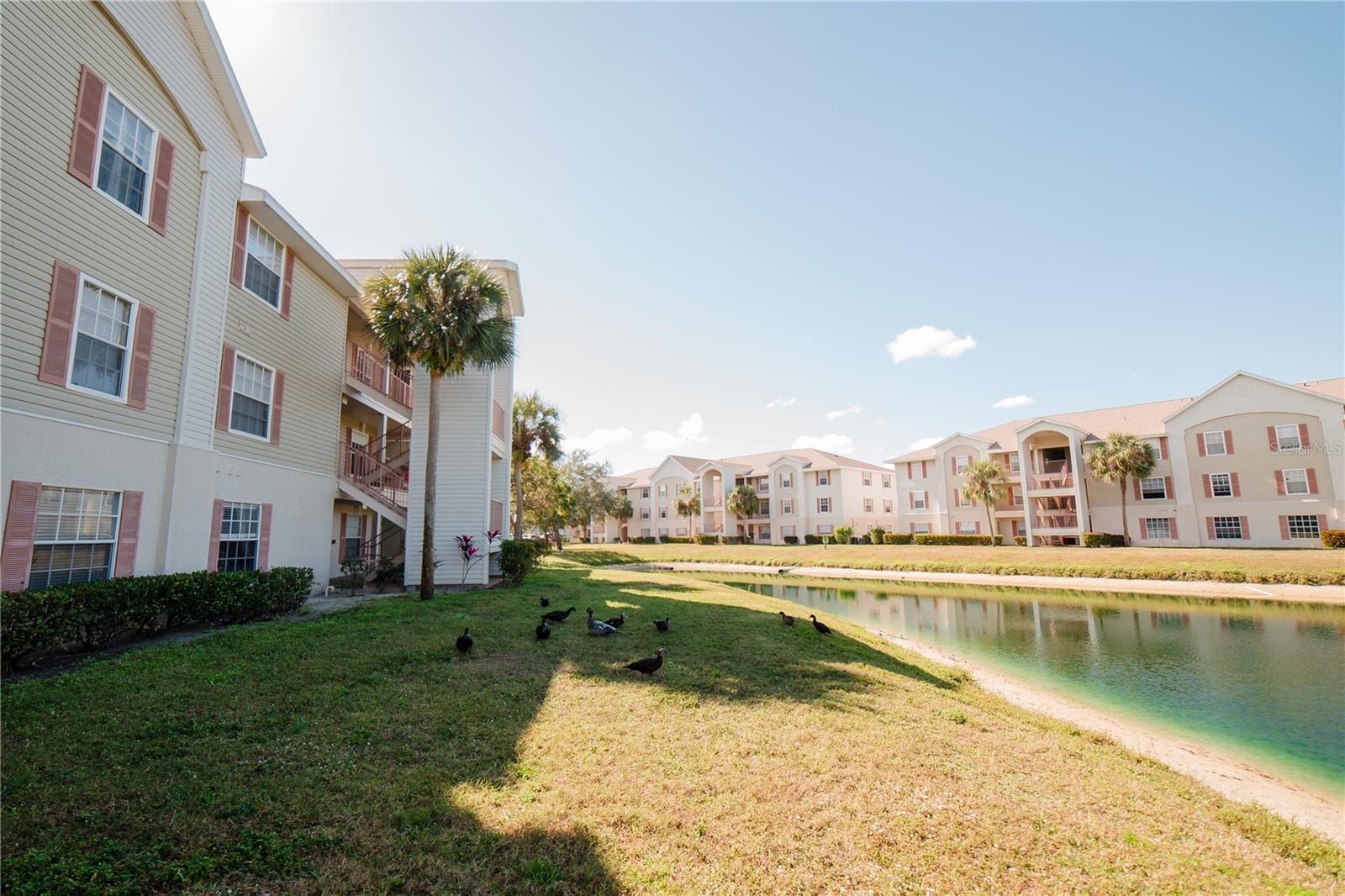 CAPE CORAL COVE CONDO - Residential