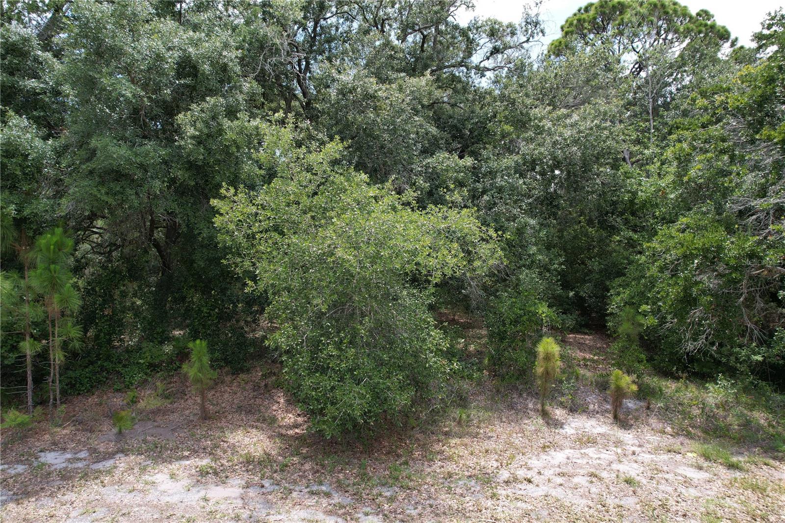 Fantastic opportunity to own a beautiful residential piece of Florida land in the peaceful Leisure Lakes community! This high and dry lot is perfectly situated for building your dream single-family home or securing your next real estate investment. Enjoy a quiet, natural country setting while still maintaining convenient access to local schools, pristine lakes, parks, and shopping. No HOA fees or restrictive building timeframes. Don't let this great deal pass you by!