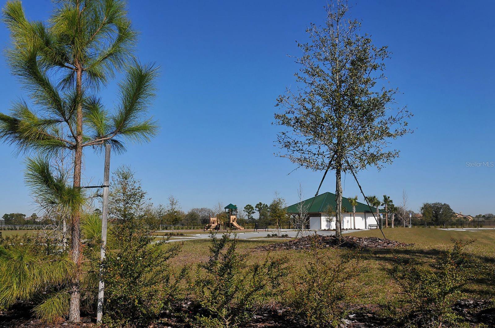 COUNTRY CLUB EAST AT LAKEWD RNCH XX - Residential