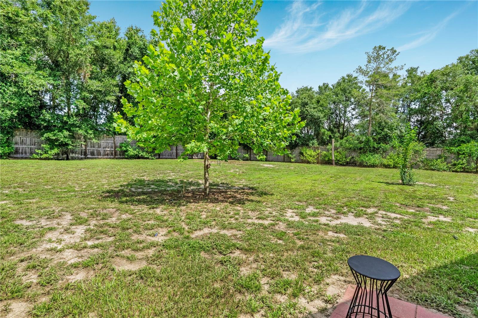 EVERGREENS - Residential