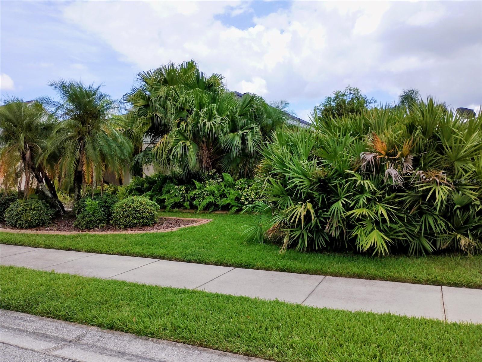 LAKESIDE PRESERVE - Residential