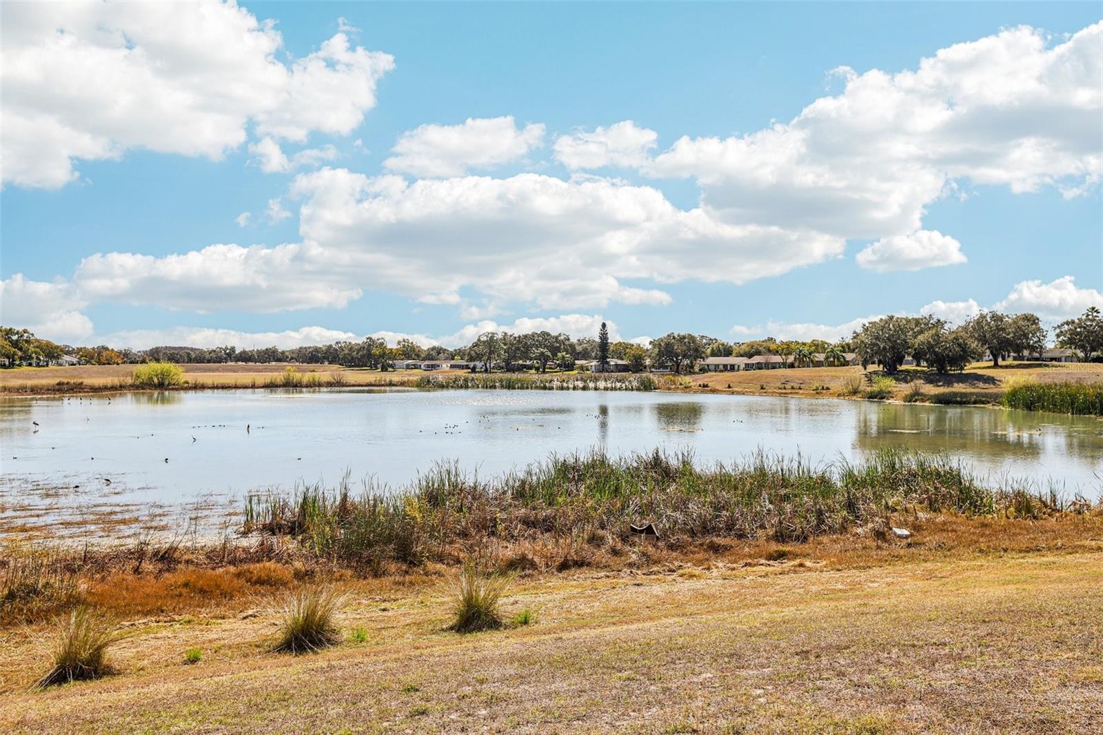 TIMBER OAKS FAIRWAY VILLAS CONDO - Residential