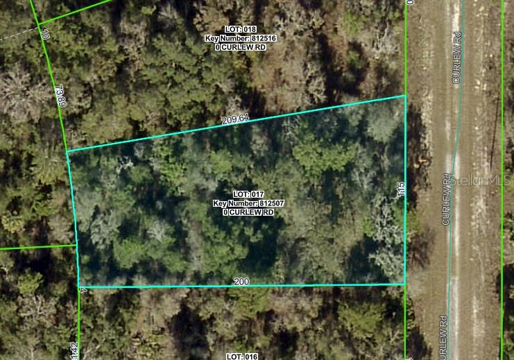 Nestled away in a highly desirable area of the Royal Highlands, this beautiful home site is waiting for you. The location is fantastic, ready to build your dream home on - or hold on to as an investment. Not in a deed restricted community, NO HOA or CDD fees either, and there is no time limit on when you can build. Close to all area amenities such as shopping, schools, dining, entertainment, medical, saltwater fishing in the Gulf and natural freshwater rivers and springs - for those who love the outdoors. Come see this beautiful home site today before it's gone. If you have any questions, just ask.