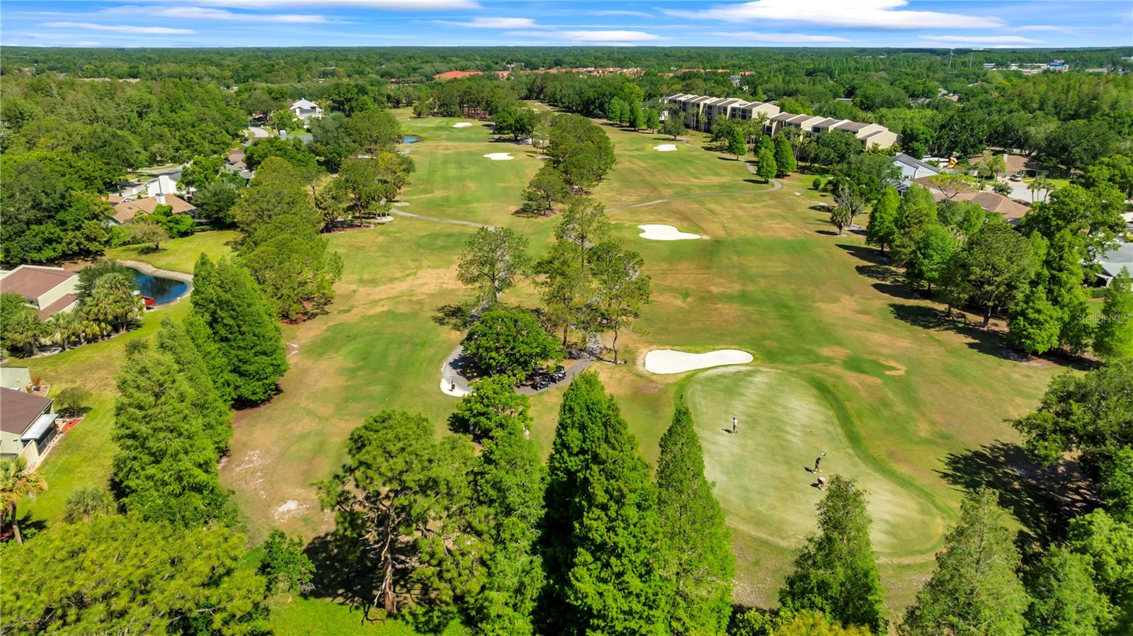 CARROLLWOOD VILLAGE PINE LAKE - Residential Lease