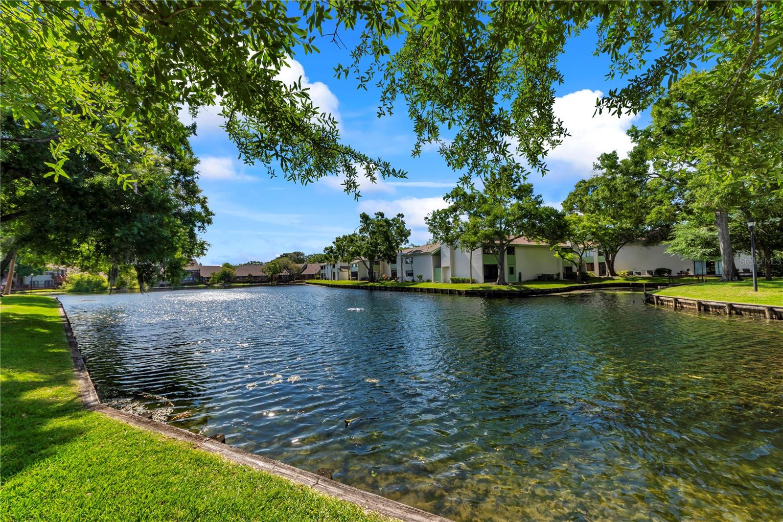 CARROLLWOOD VILLAGE PINE LAKE - Residential Lease