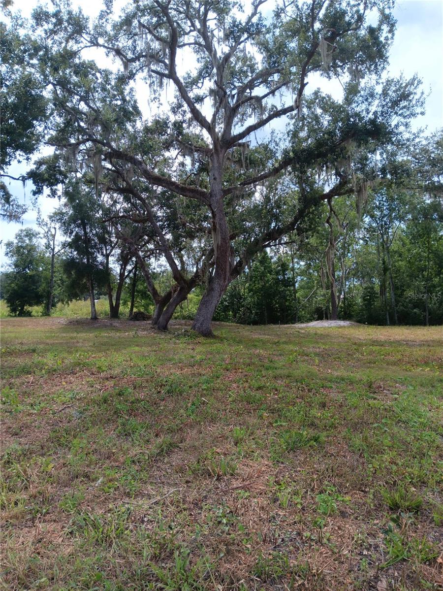 HICKORY HILL RETREATS UNIT 05 - Land