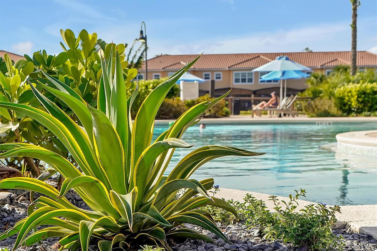 REGAL OAKS AT OLD TOWN - Residential
