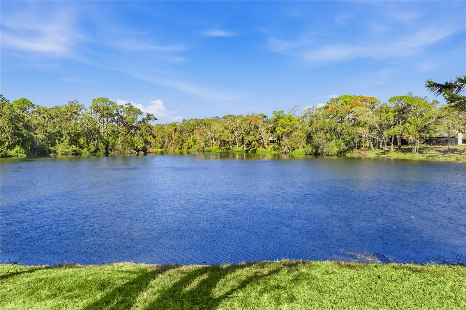 LONGWOOD VILLAS UNIT 3 - Residential