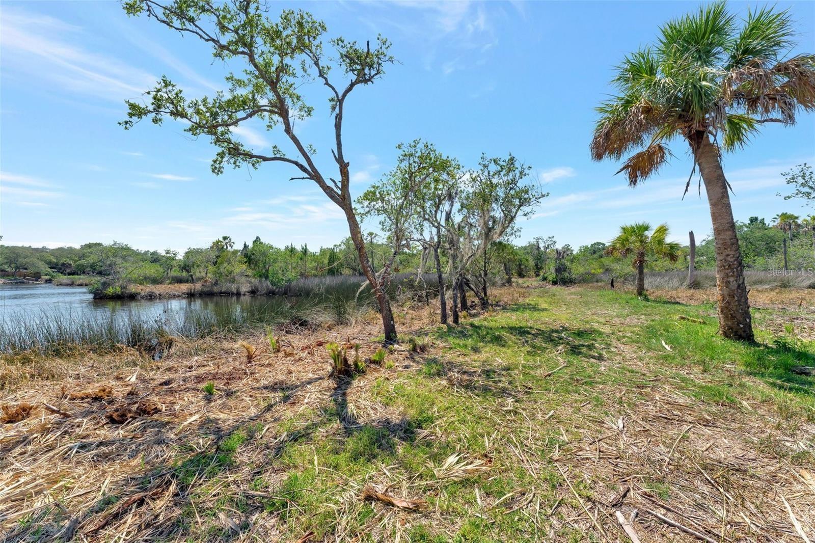 TAMPA TARPON SPGS LAND CO - Land