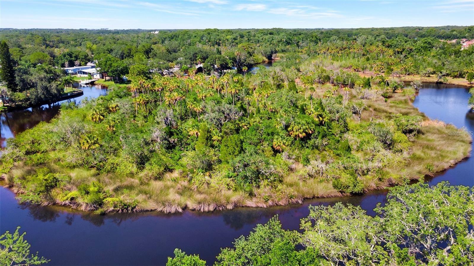 TAMPA TARPON SPGS LAND CO - Land