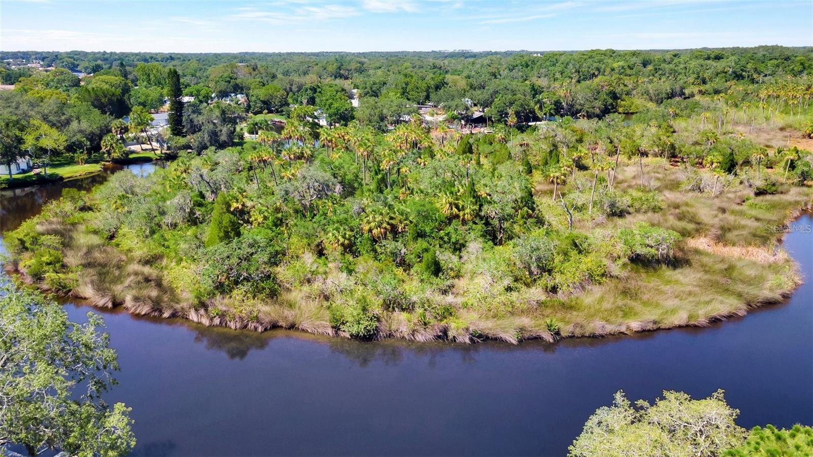 TAMPA TARPON SPGS LAND CO - Land