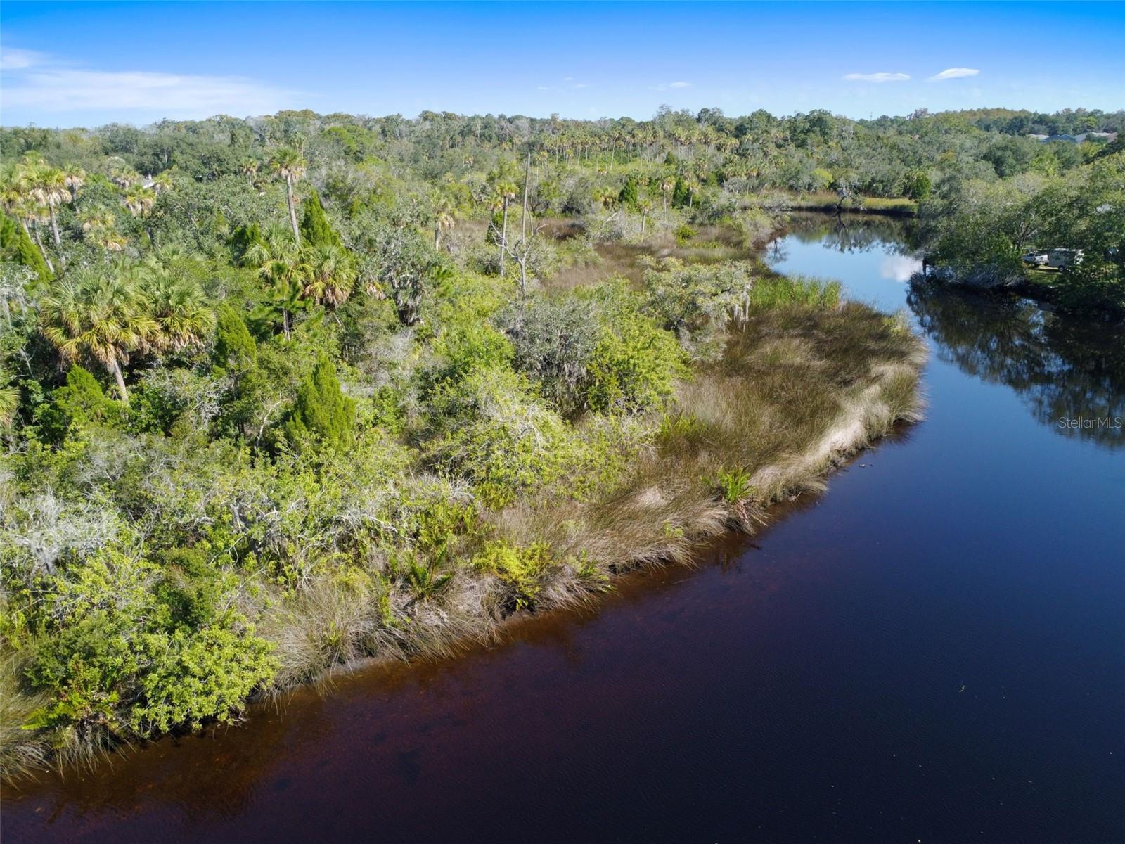 TAMPA TARPON SPGS LAND CO - Land