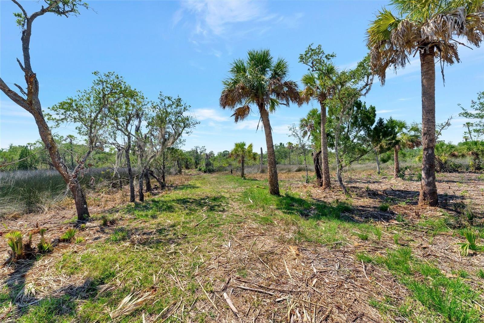 TAMPA TARPON SPGS LAND CO - Land