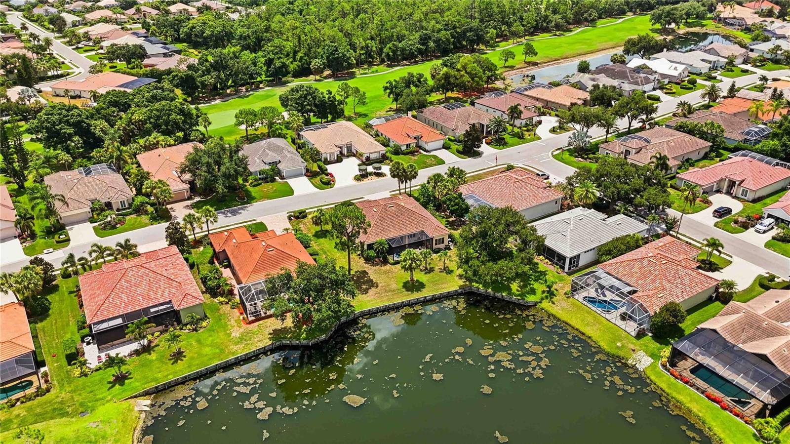 ROSEDALE - Residential