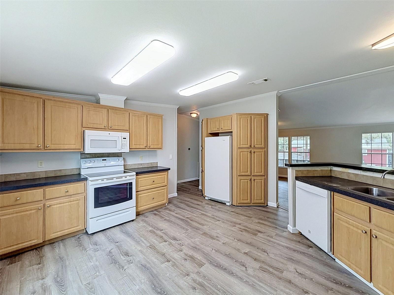 MOON LAKE ESTATES - Residential