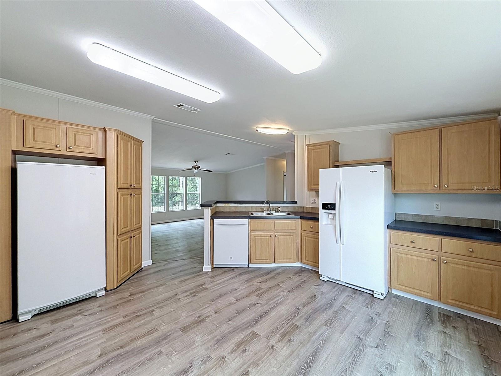 MOON LAKE ESTATES - Residential