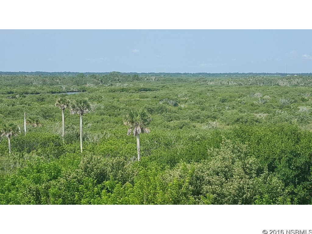 Ocean Walk/New Smyrna Beach - Residential