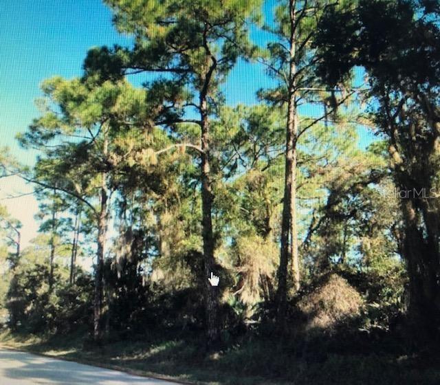 Nice High Lot in area of newer warehouses and close to 442, US1 and I95 for easy access. Good trees but none that might interfere with building.  Perfect area for warehouse, storage or business in this fast growing Edgewater Area.; Cleared: No