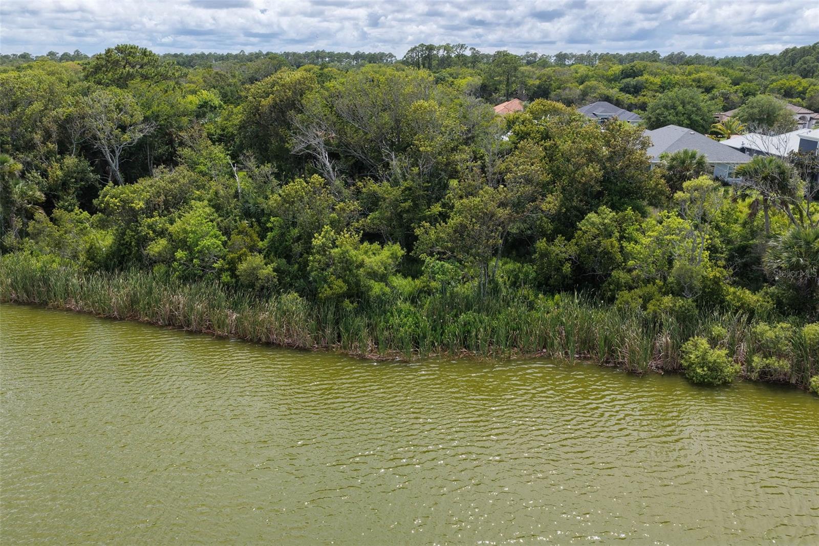 PALM COAST PLANTATION - Residential