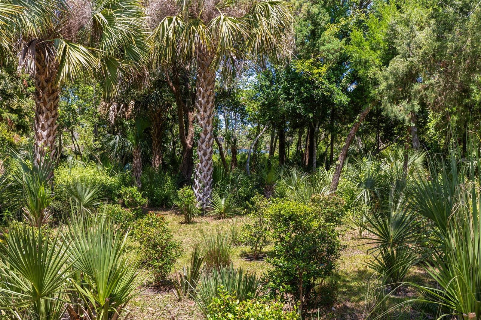 PALM COAST PLANTATION - Residential