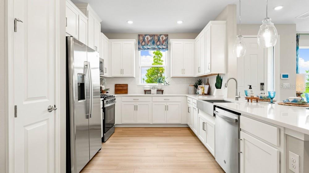 ESPLANADE AT SKYE RANCH - Residential