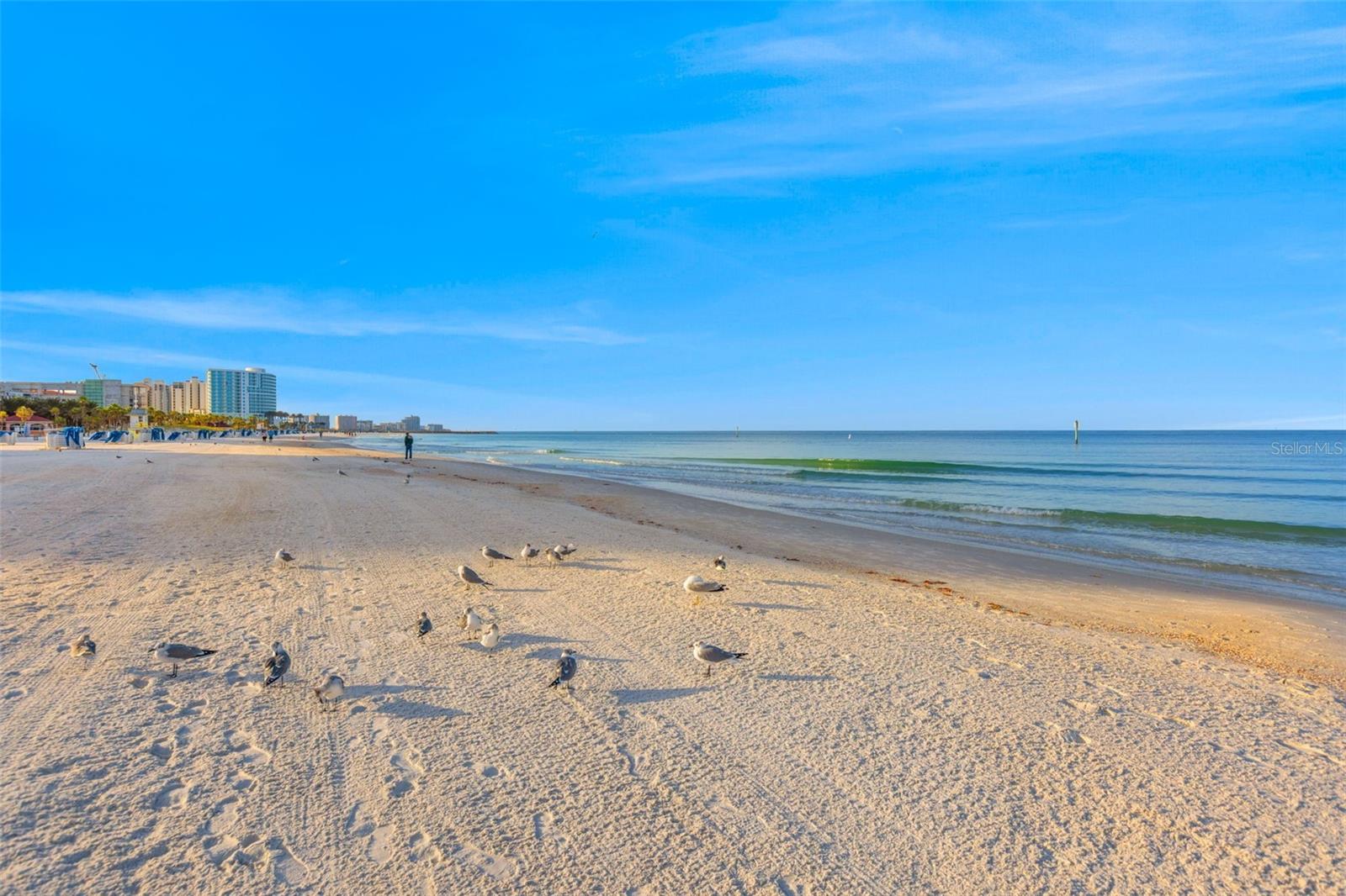 CAMELOT OAKS CONDO - Residential