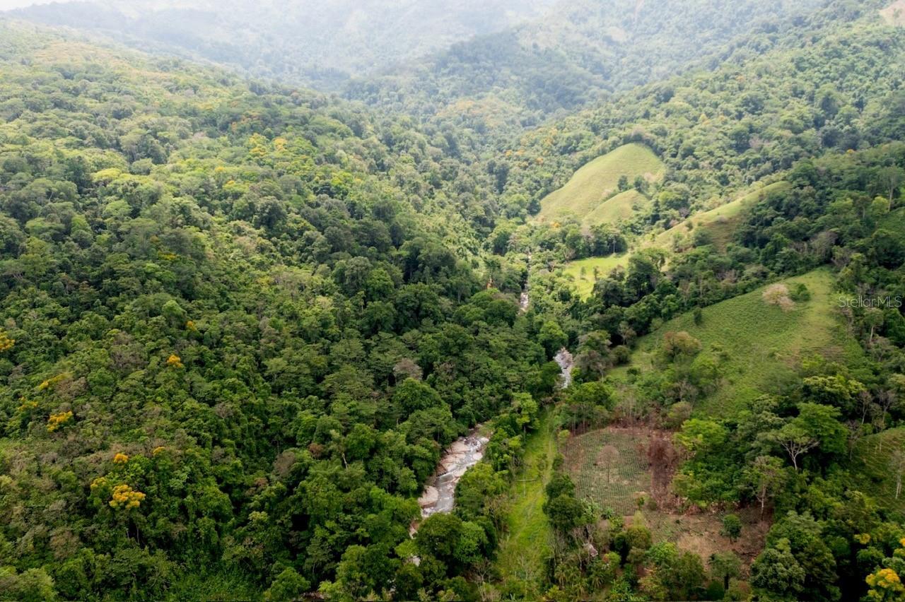 Tucked in the Talamanca Mountain Range of Costa Rica, in the province of Puntarenas, 6 hours from the Capital of San Jose and International Airport Juan Santamaria, 40 minutes from downtown Ciudad Nelly, 30 minutes from San Vito de Coto Brus and shy of one hour from the Panamanian boarder de Paso Canoas and Rio Sereno, and one hour from Golfito Port in the Southern Pacific Coast. 
This 369 acres farm has fertile, sedimentary soils, suitable for multiple agricultural purposes, appropriate for farming or an amazing tourist complex such a luxury hotel chain looking to build a retreat for their high-end clients that are looking for a secluded space where they can enjoy nature as it best, an eco-lodge,  a cozy auberge or chalets for the perfect vacation spot would be great projects for this property. 
The property has its own sources of clean water, is surrounded by the corridors’ rivers and with its boundaries has multiple streams of crystal-clear water overlooking a spectacular waterfall. It has access to public roads and has access to all the services required for proper development such as electricity, internet and its own drinking water.The farm currently has an extensive area of 17 hectares (42.01 acres) of  Palm cultivation. Another large amount of land remains as Virgen as primary and secondary forest with timber trees such as cedar and yellow bar among many others can be located. There is a large diversity of wild animals, such as a variety of primates, coatis, tepezcuintles and a great diversity of endemic birds such as Toucans, Elegant Euphonia, the tiny Volcano Hummingbird, the numerous Silver-throated Tanager and the Nimble Tree Runner just to mention a few. The area is developed in a good tropical climate, with dry and humid seasons, giving the natural territory an atmosphere of peace, security, and tranquility!