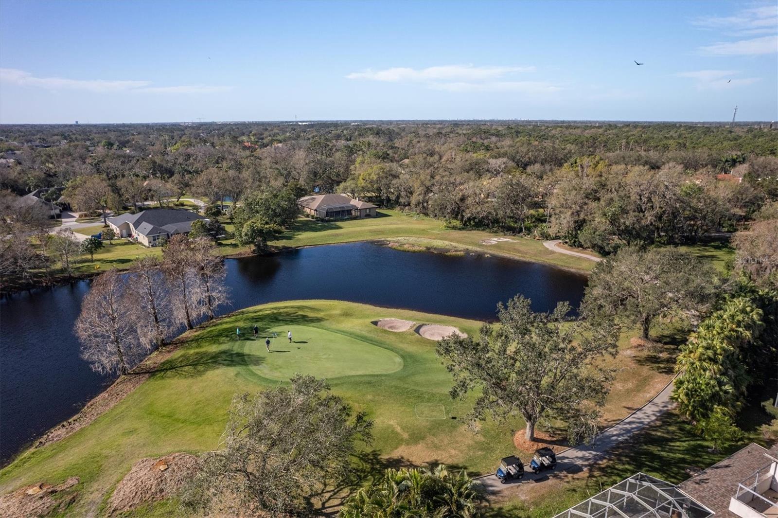 ENCLAVE AT FOREST LAKES - Residential