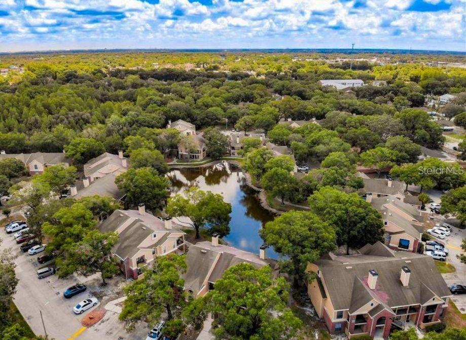 Welcome to Paradise at The Grand Reserve Condominiums in Tampa. This condo is a one bedroom and one bathroom with white beveled kitchen cabinets, large closet pantry, stainless steel appliances, full size washer and dryer, high & vaulted ceiling, luxury waterproof vinyl plank floors throughout, located on the 2nd floor with covered balcony w/storage rm. garden & lake view. Rent Includes: Trash and 1 assigned parking spot. No pets allowed. The Grand Reserve Condominiums in Tampa is a gated community with great amenities from a Clubhouse, resort style swimming Pool & Spa, cabanas, Fitness Center, lighted Tennis courts, gazebo, and walking trails. You are just South of Carrollwood and steps away from the heart of Tampa's shopping, dining, arts & culture, Raymond J. Stadium, Dale Mabry Hwy. Veterans and 275, Downtown Tampa, Tampa International Airport and a short drive to the beautiful Gulf coast beaches and St. Petersburg.