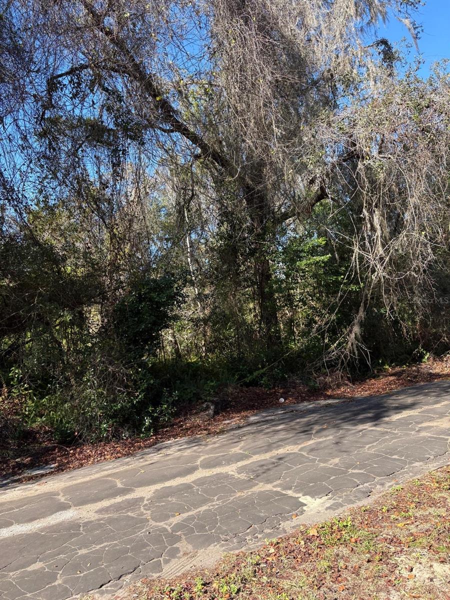 MOON LAKE ESTATES - Land