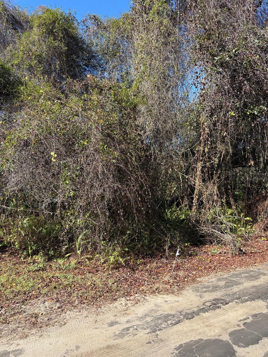 MOON LAKE ESTATES - Land
