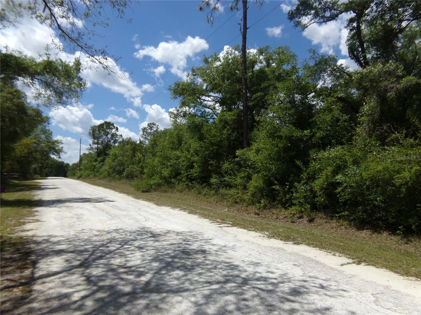 RIDGE MANOR ESTATE - Land