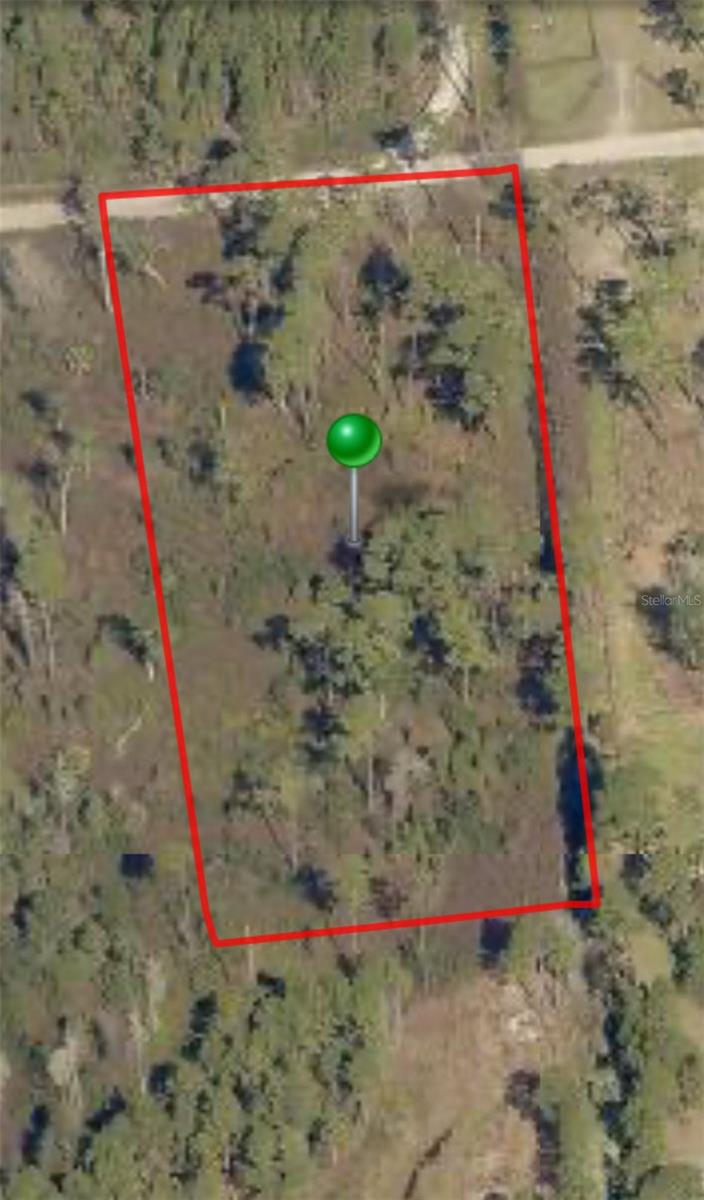 Build your dream home on 3.1 acres in the charming and rapidly growing area of New Smyrna Beach. This Vacant Residential property offers exceptional flexibility, allowing for a single-family home, manufactured home, or barndominium.

Located within the secluded community of Quail Roost Ranches, this parcel provides a peaceful, private setting surrounded by nature—perfect for those seeking a quiet retreat without sacrificing convenience. Enjoy easy access to shopping, beaches, I-4, and I-95, making daily commutes and weekend adventures effortless. 

Whether you envision a custom estate, a modern Barndominium, or a country-style manufactured home, this spacious property offers the ideal canvas to bring your vision to life in one of New Smyrna Beach’s most desirable up-and-coming areas.
Buyer is responsible to do their own due-diligence with Volusia County Land Development offices,  Survey, wetland delineation, elevation certificate and topography will all need to be done to determine buyers intended use. Please direct any building, zoning, environmental, and/or permitting related questions to the County of Volusia for accurate response.