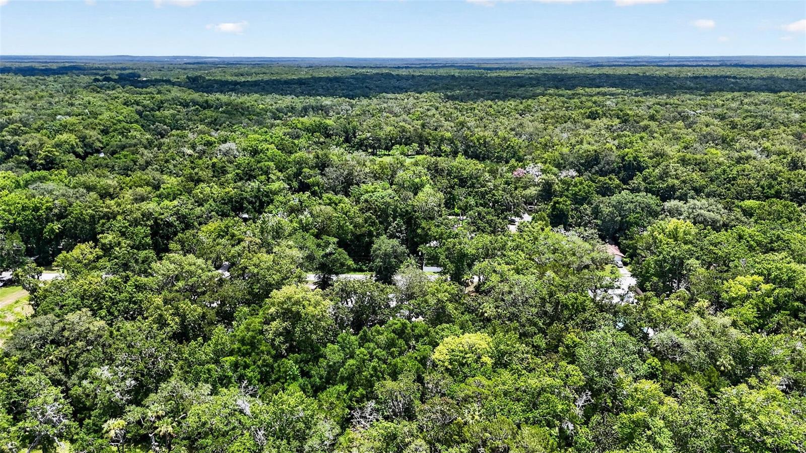 HOMOSASSA PARK - Residential
