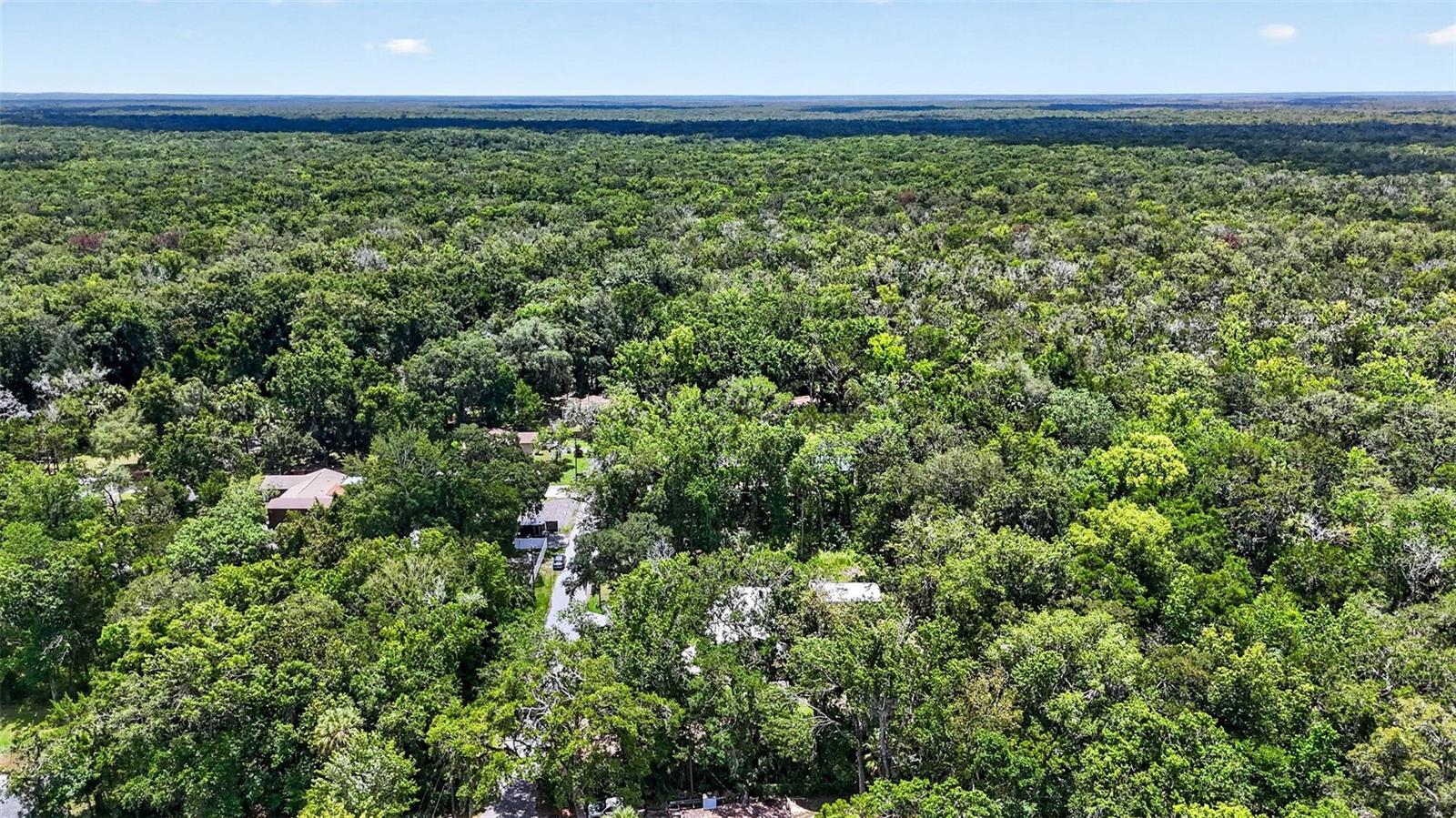 HOMOSASSA PARK - Residential