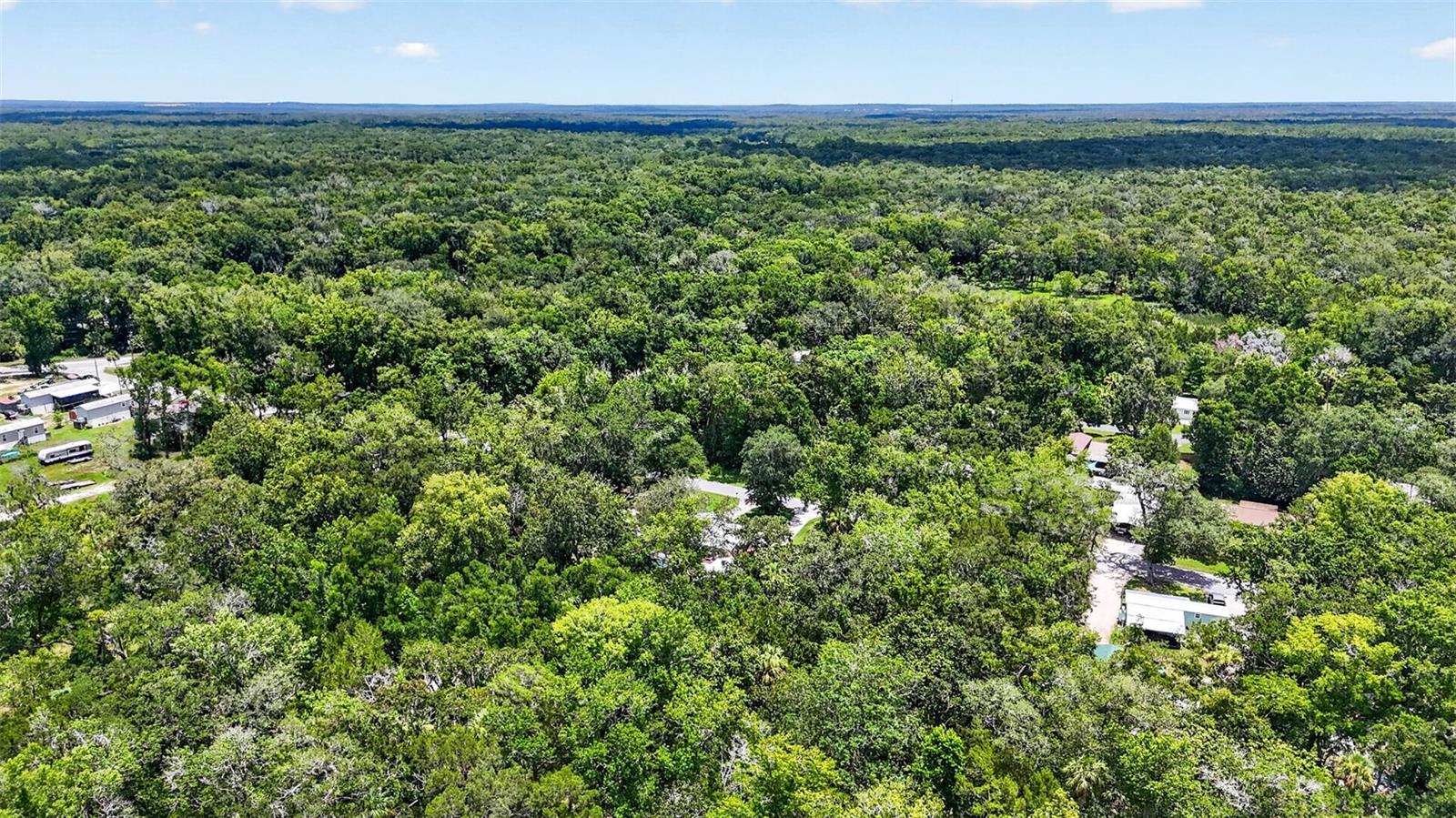 HOMOSASSA PARK - Residential