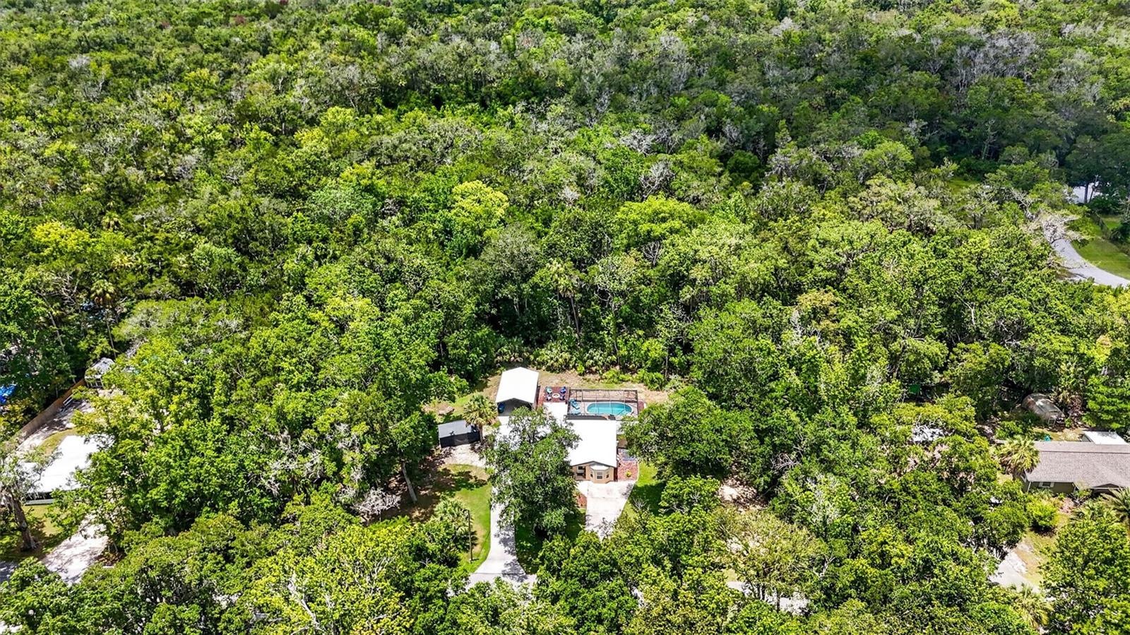 HOMOSASSA PARK - Residential