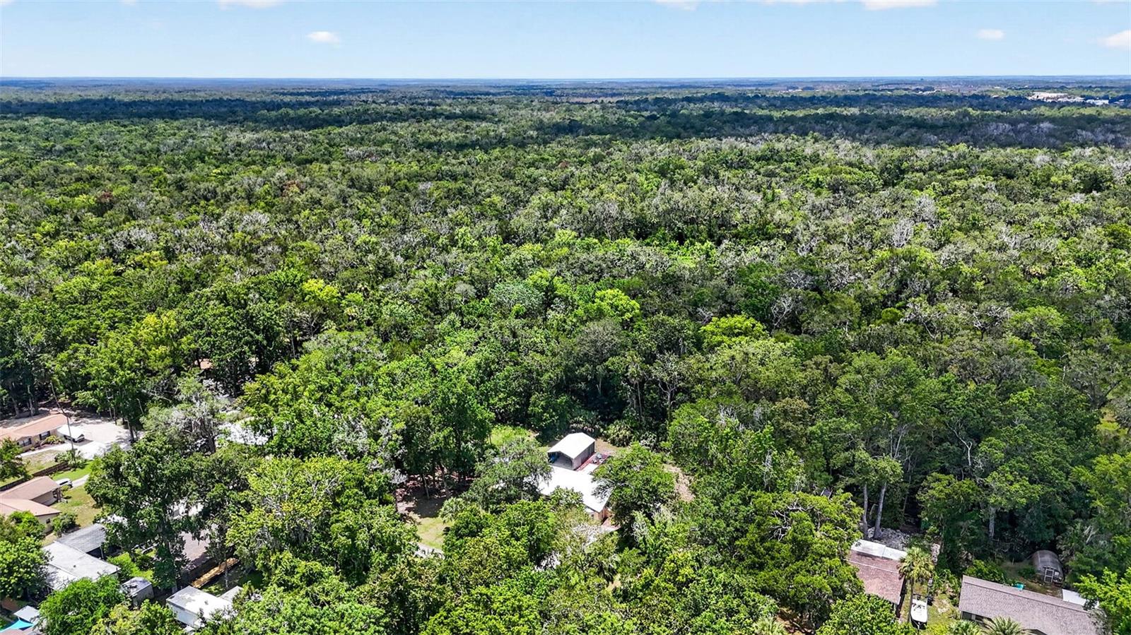 HOMOSASSA PARK - Residential