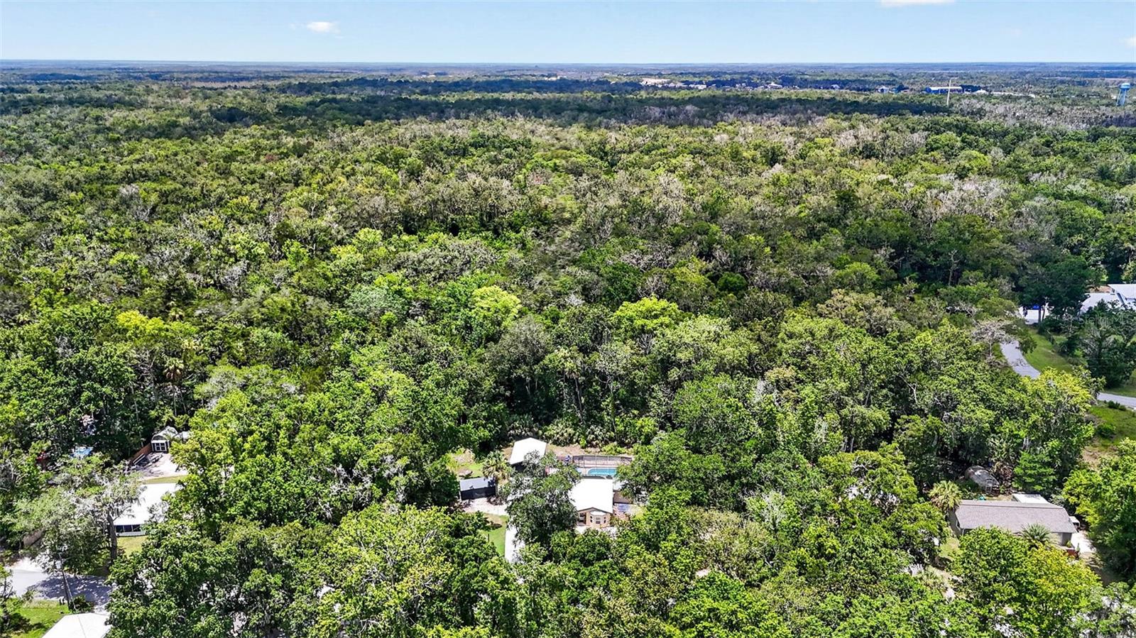 HOMOSASSA PARK - Residential