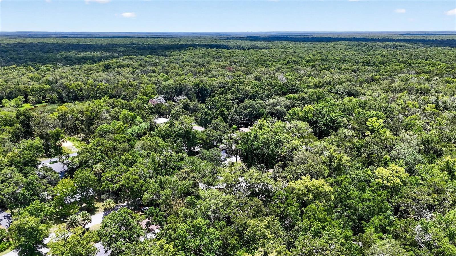 HOMOSASSA PARK - Residential