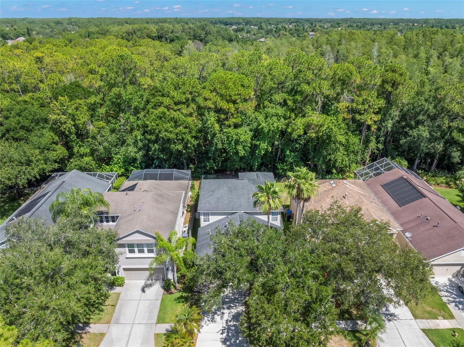 WESTCHASE SECTION 372 AND PARK - Residential