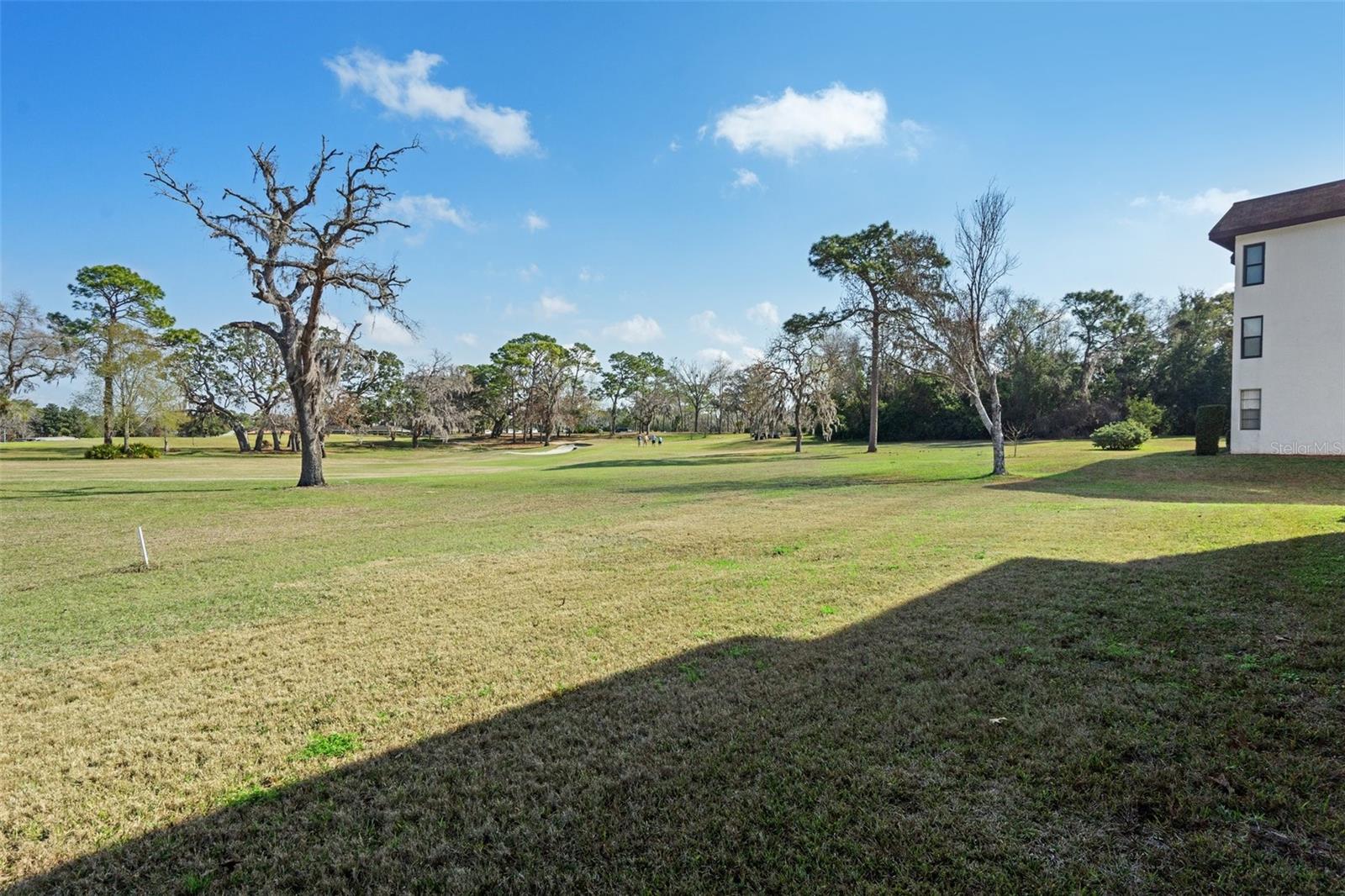 SUGARMILL WOODS CYPRESS VILLAGE - Residential