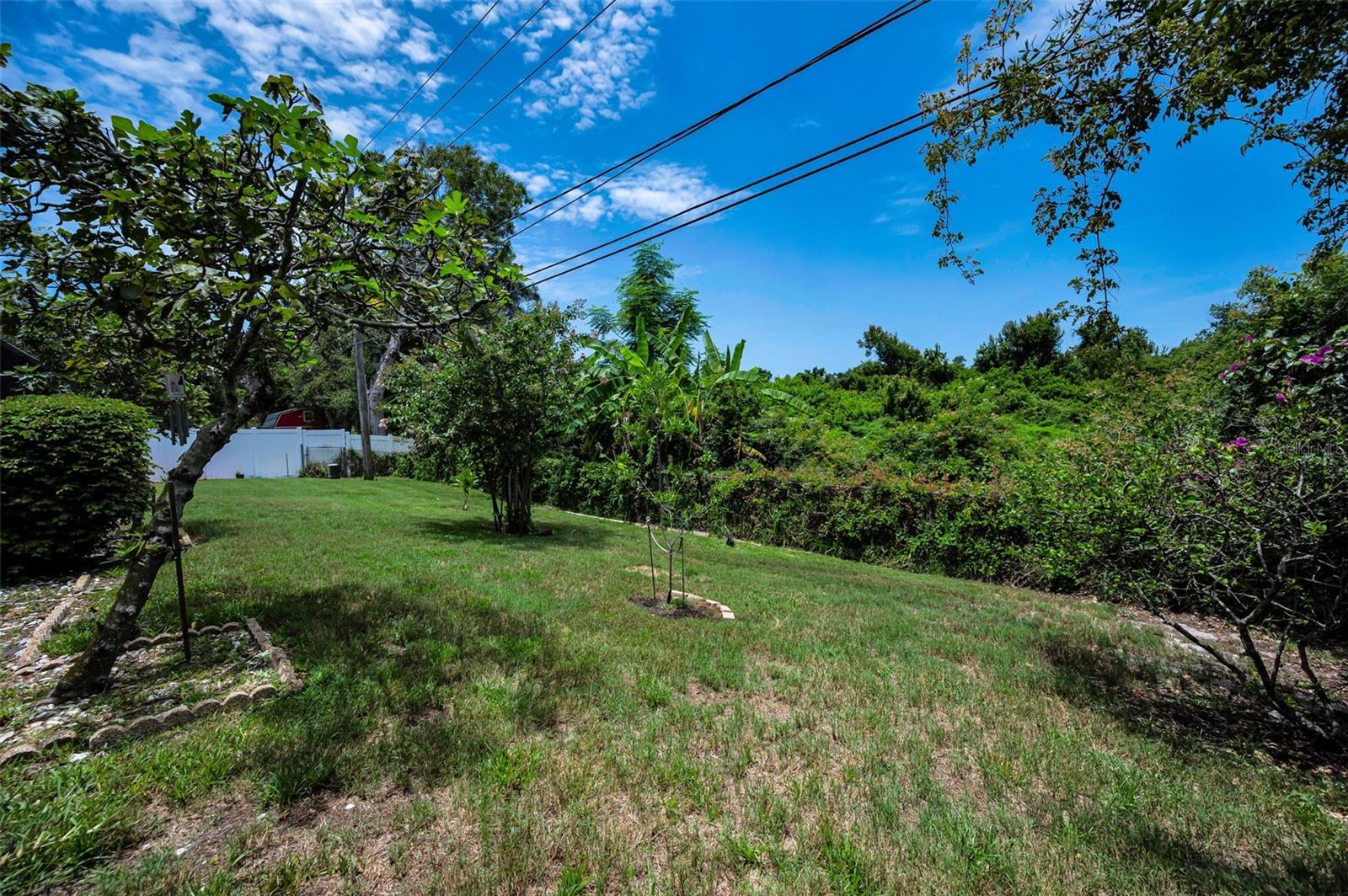 BARRINGTON HILLS - Residential