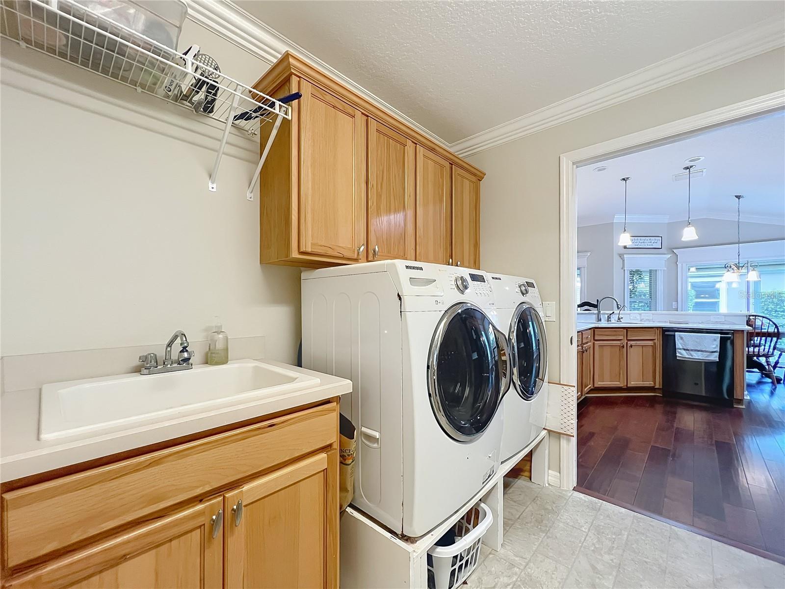 VILLAGES SUMTER - Residential