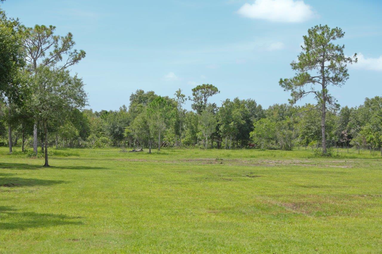 ACREAGE - Residential