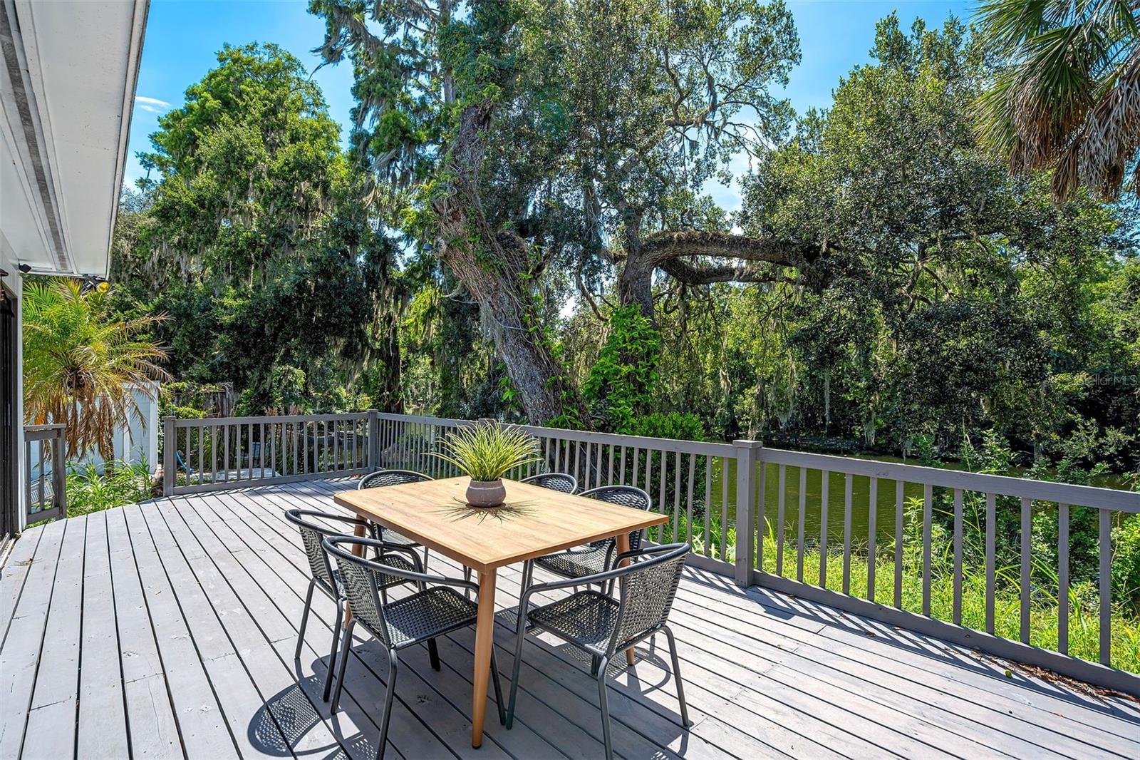 TEMPLE TERRACE ESTATES - Residential