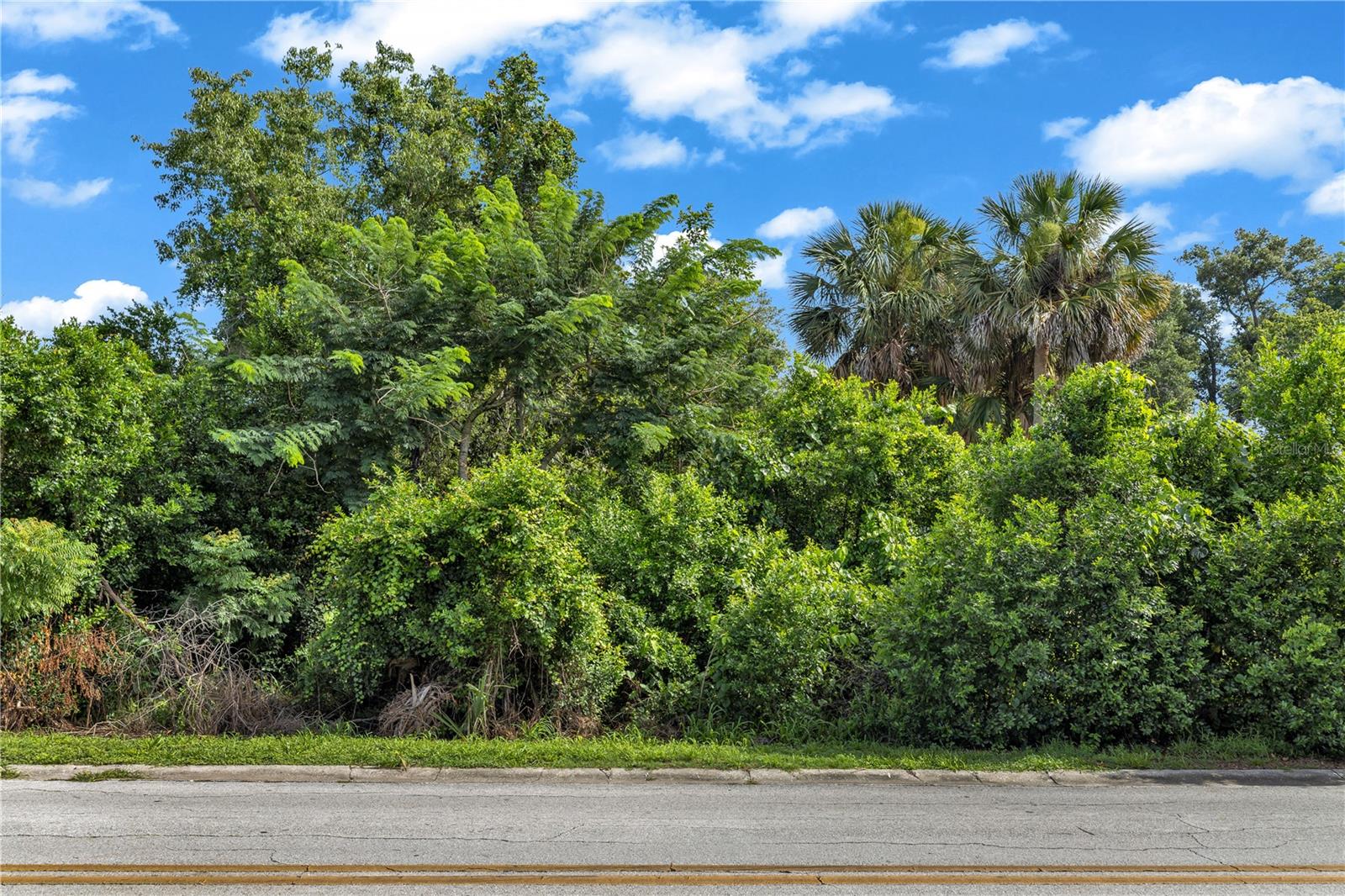 Discover the perfect place to build your dream home on this beautiful 0.31-acre wooded lot in the highly sought-after city of DeBary! Offering a peaceful, natural setting with plenty of space to design the home you've always envisioned, this property provides the ideal balance of privacy and convenience. Conveniently located near shopping, dining, parks, schools, and major roadways, you'll enjoy easy access to everything Central Florida has to offer.